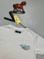 AMIRI T-SHIRT in 2 Colors - Image 6