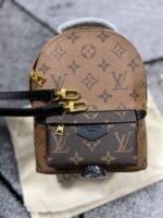 LV mini Backpack in Brown Color - Image 3