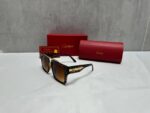 Cartier Gradient Square Sunglasses